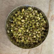 Sprouted Mung Beans in a bowl