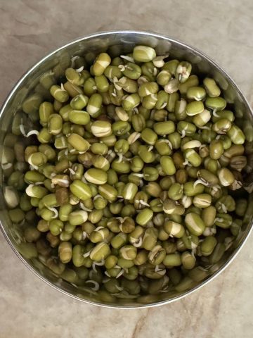 Sprouted Mung Beans in a bowl